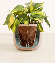 Load image into Gallery viewer, Sandy Pink