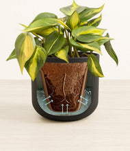 Load image into Gallery viewer, Stone Black