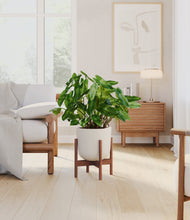 Load image into Gallery viewer, Natural Bamboo stand:walnut