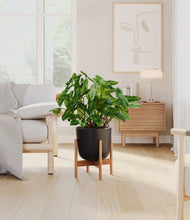 Load image into Gallery viewer, Stone Black stand:bamboo