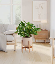 Load image into Gallery viewer, Sandy Pink stand:bamboo