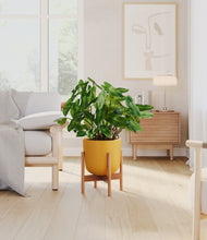 Load image into Gallery viewer, Sunset Orange stand:bamboo