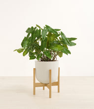 Load image into Gallery viewer, Natural Bamboo stand:bamboo