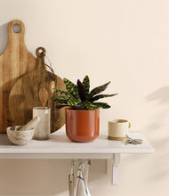 Load image into Gallery viewer, Glossy Red