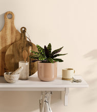 Load image into Gallery viewer, Glossy Pink