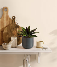 Load image into Gallery viewer, Iron Gray