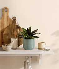 Load image into Gallery viewer, Reactive Aqua