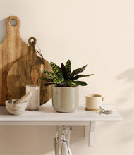 Load image into Gallery viewer, Sage Green