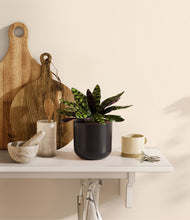 Load image into Gallery viewer, Stone Black