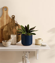 Load image into Gallery viewer, Twilight Blue