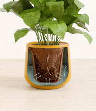 Load image into Gallery viewer, Mustard stand:all