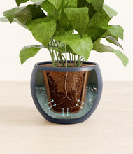 Load image into Gallery viewer, Deep Navy stand:all