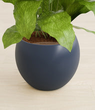 Load image into Gallery viewer, Deep Navy stand:all