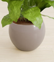 Load image into Gallery viewer, Winter Clouds stand:all