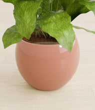 Load image into Gallery viewer, Calm Rose stand:all