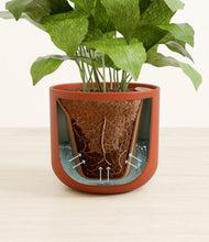 Load image into Gallery viewer, Earth Red