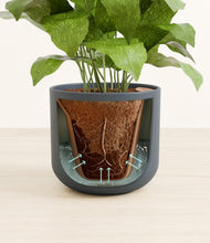 Load image into Gallery viewer, Iron Gray