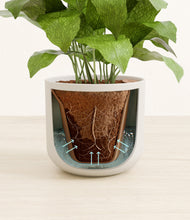 Load image into Gallery viewer, Natural Bamboo stand:all