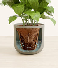 Load image into Gallery viewer, Sage Green stand:all