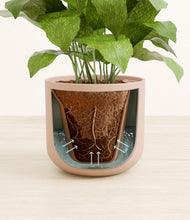 Load image into Gallery viewer, Sandy Pink