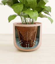 Load image into Gallery viewer, Sandy Pink stand:all