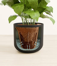 Load image into Gallery viewer, Stone Black