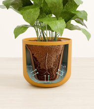 Load image into Gallery viewer, Sunset Orange