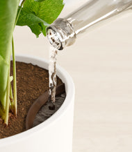 Load image into Gallery viewer, White stand:all