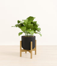 Load image into Gallery viewer, Stone Black stand:bamboo