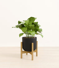 Load image into Gallery viewer, Stone Black stand:bamboo