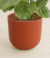 Load image into Gallery viewer, Earth Red stand:all