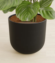 Load image into Gallery viewer, Stone Black stand:all