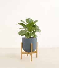 Load image into Gallery viewer, Iron Gray stand:bamboo