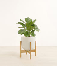 Load image into Gallery viewer, Natural Bamboo stand:bamboo