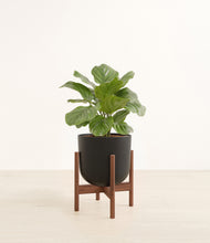 Load image into Gallery viewer, Stone Black stand:walnut