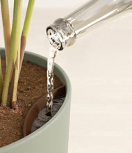 Load image into Gallery viewer, -