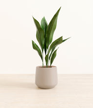 Load image into Gallery viewer, Eternal Gray