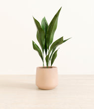 Load image into Gallery viewer, Gentle Pink*****Profile