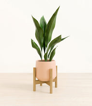 Load image into Gallery viewer, Gentle Pink stand:bamboo