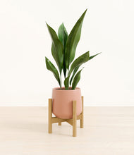 Load image into Gallery viewer, Calm Rose stand:bamboo