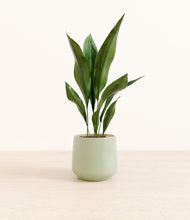 Load image into Gallery viewer, Turquoise*****Profile