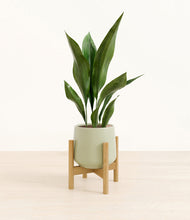 Load image into Gallery viewer, Turquoise stand:bamboo