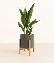 Load image into Gallery viewer, Dark Olive stand:bamboo