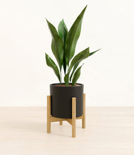 Load image into Gallery viewer, Black stand:bamboo