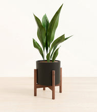 Load image into Gallery viewer, Black stand:walnut