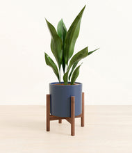 Load image into Gallery viewer, Deep Navy stand:walnut