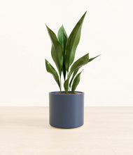 Load image into Gallery viewer, Deep Navy*****Profile