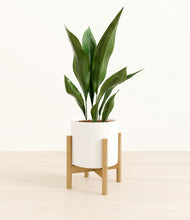 Load image into Gallery viewer, White stand:bamboo