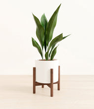 Load image into Gallery viewer, White stand:walnut