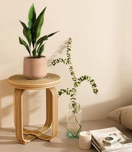 Load image into Gallery viewer, Gentle Pink